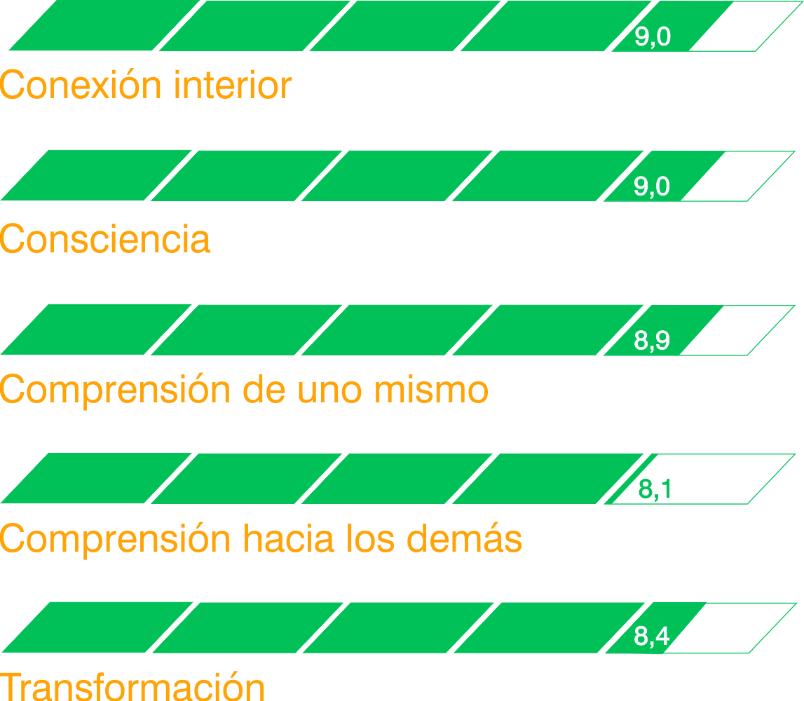 Valoración de los resultados Mindwinner